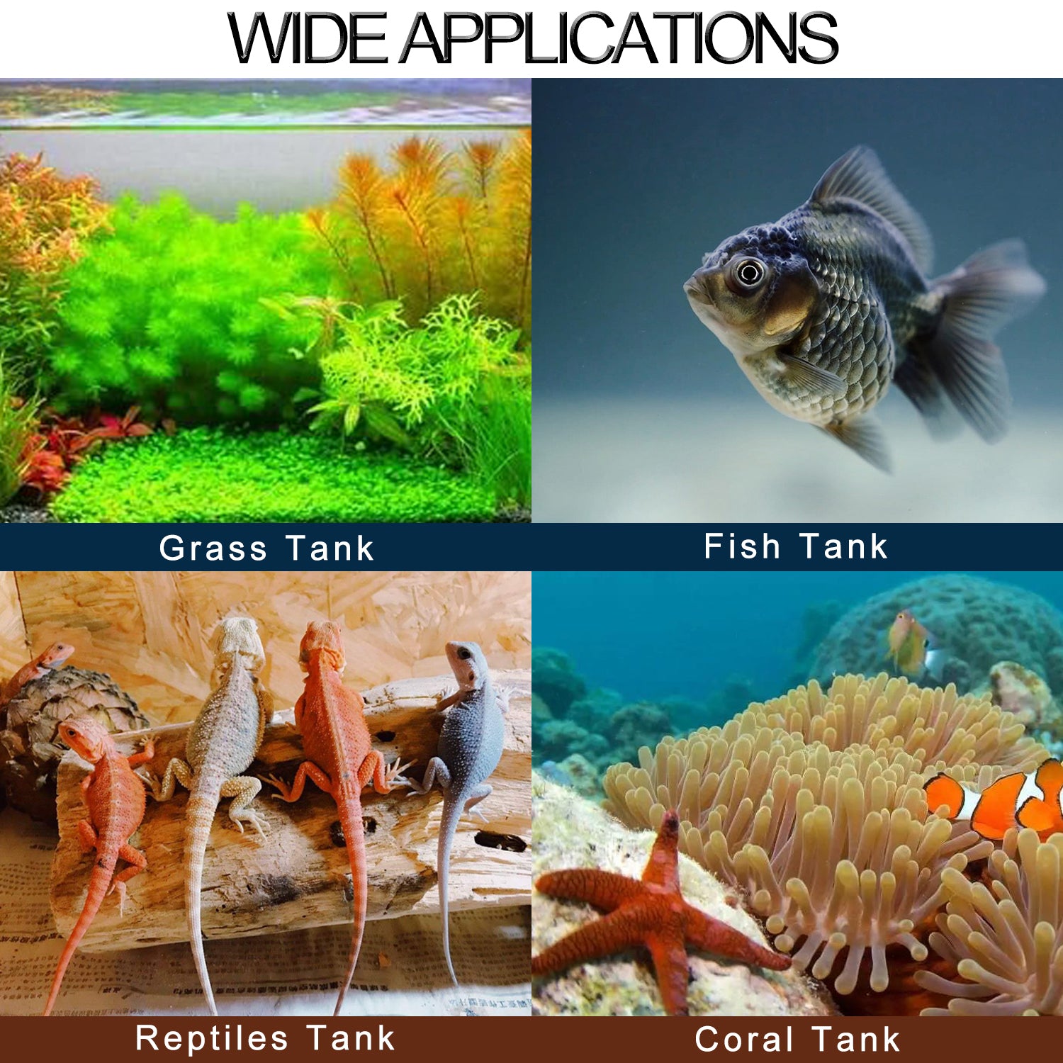 YEUHTLL Digital Aquarium Fish Tank Thermometer Brazil