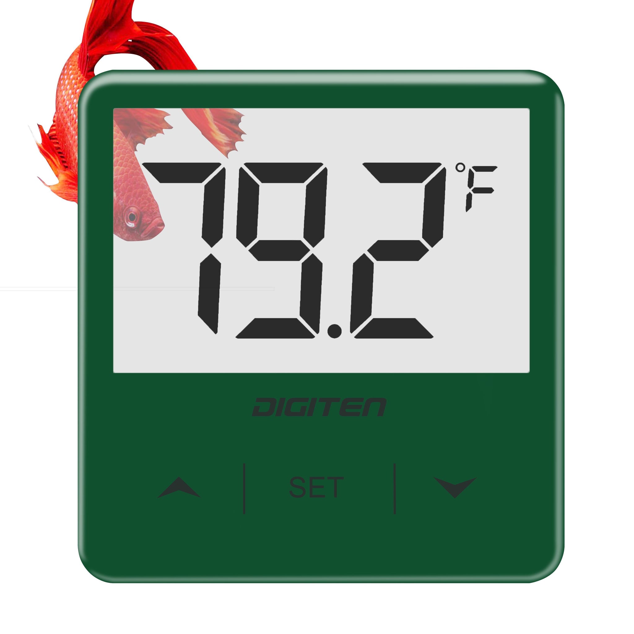 Reptile Thermometer Terrarium Temperature Humidity Gauge Monitor