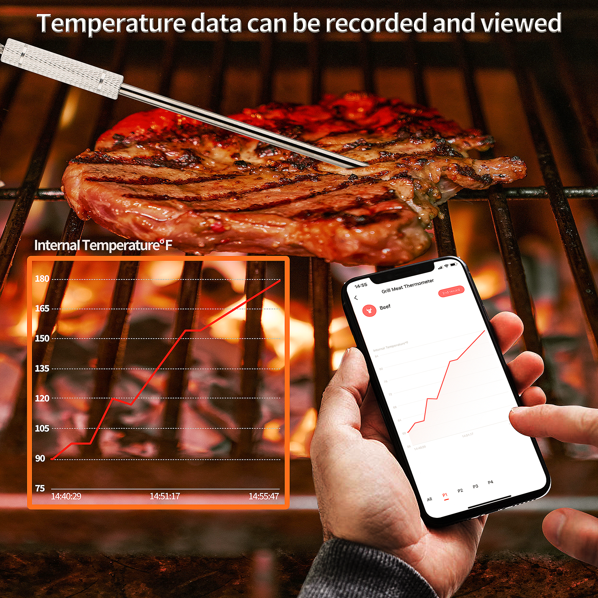 Cooking Meat Thermometer, Remote